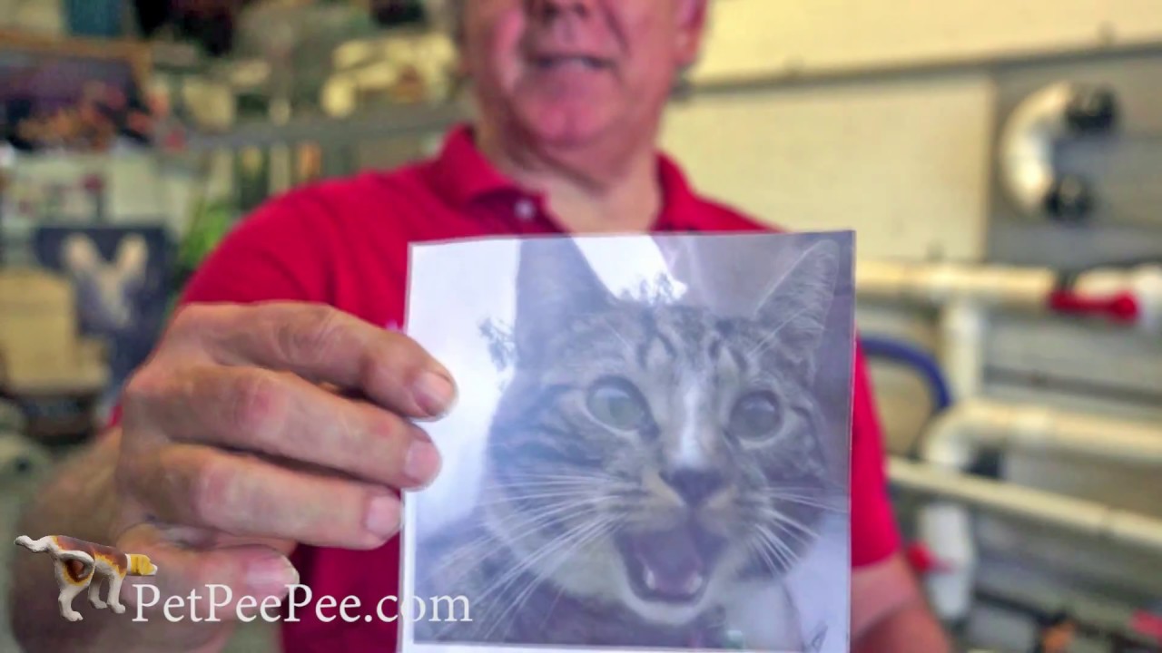 When dry cleaning fails to clean draperies from urine odor