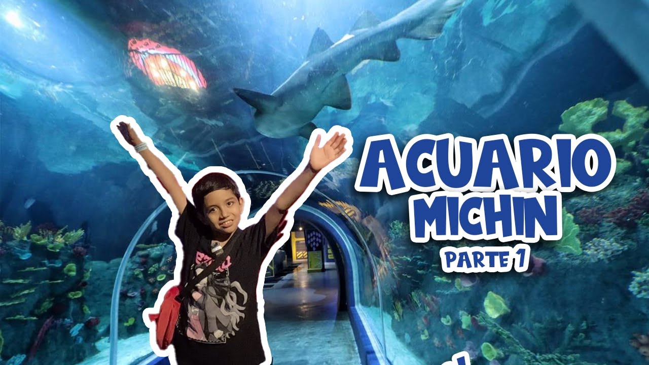 ACUARIO MICHIN el más GRANDE de Latinoamérica. (Parte 1) - YouTube