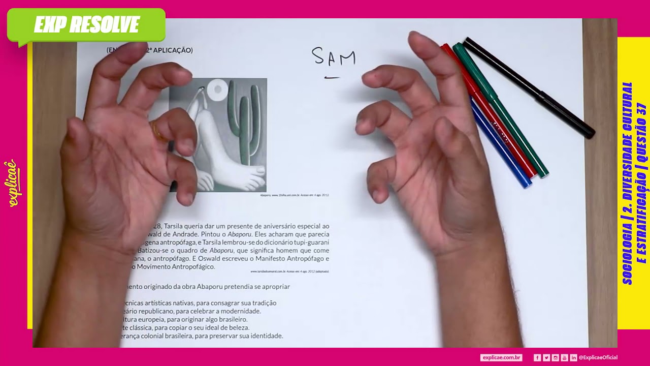 O MOVIMENTO ORIGINADO DA OBRA ABAPORU PRETENDIA E (...) |  DIVERSIDADE CULTURAL E ESTRATIFICAÇÃO