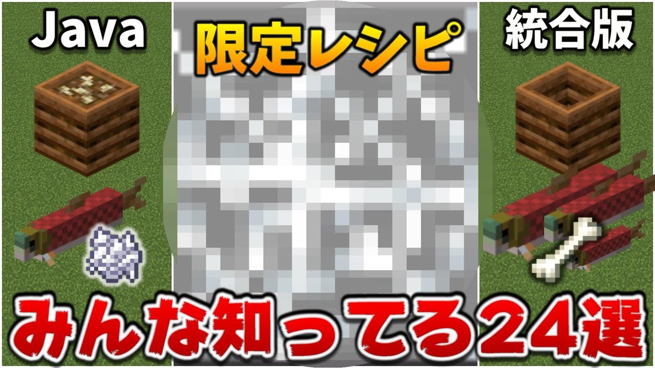 マインクラフトjavaと統合版 みんな知ってる24の違い Je1 17 1 Be1 17 41 Youtube
