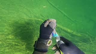 Diving for fishing lures, raw footage