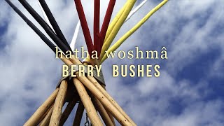 Famous EIPS Land-based Learning Space: Berry Bushes Net Worth