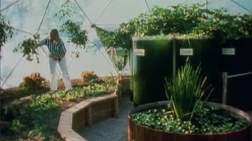 The Simple Case for Regenerative Ecological Design