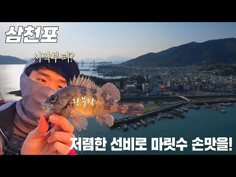 낮에 도착과 동시에 나오기 시작하더니 밤까지 지루할틈이 없는 낚시하고 왔습니다!