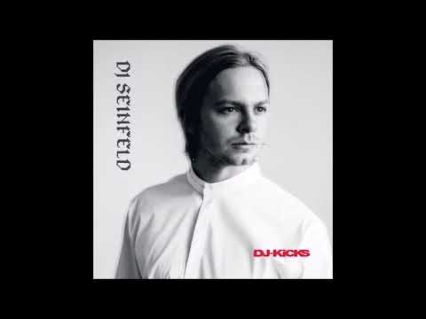 DJ Seinfeld -