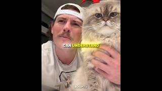 These Cats Can Understand Their Owners