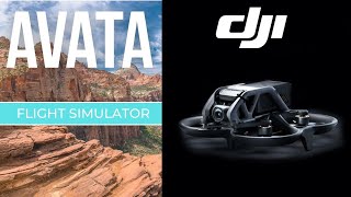 Easy AVATA Flight Simulator Setup!