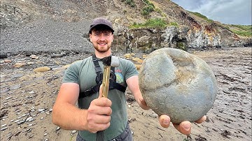 Fossil Hunting Shorts Collection 🦖 | 25 Mins of Top Videos!