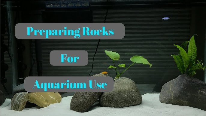 Stop Wasting Money on Aquarium Rocks! Cheapest Way to Buy Rocks