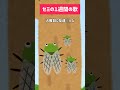 セミの１週間の歌#陣内智則