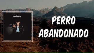 Lyric: Perro Abandonado by Ivan Cornejo