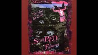 Video thumbnail of "Ariel Pink's Haunted Graffiti - Something Isn't Something"