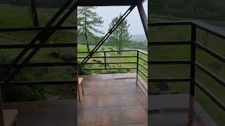 Olor a tierra mojada. Dos Arroyos, Misiones.