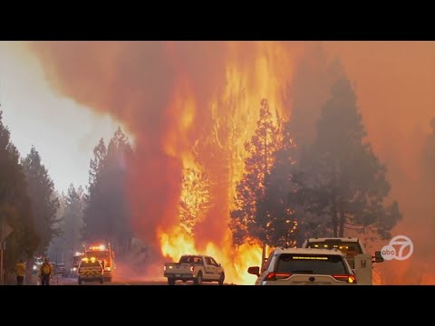 Park Fire: Bay Area sending resources to battle NorCal wildfire that burned thousands of acres