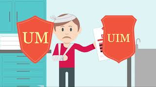 Grizzlylaw Explains the Meaning of  \"UM and UIM\" Insurance