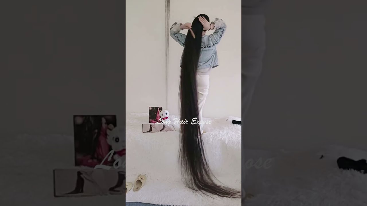 Long Hair Show | #longhair #longhairponytail #longhairasian  #domesticlonghair