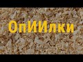 ОпИИлки | Короткометражная комедия 2024