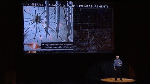 Moonshot for Neurotechnology: The Brain Observatory - M. Roukes - 4/29/2016