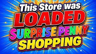 🧨‼️DOLLAR GENERAL SURPRISE PENNY SHOPPING ‼️🧨 (5/12/26) Net Worth