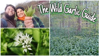 How To Forage Wild Garlic - Identification, Health Benefits & Mythology 🌱 by Home Is Where Our Heart Is 13,059 views 1 year ago 13 minutes, 14 seconds