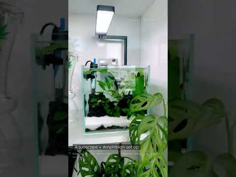 AQUASCAPING