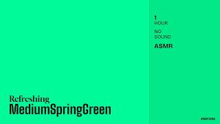 Revitalize with Vibrant Renewal - 1 Hour of Pure MediumSpringGreen Color Screen ASMR