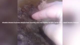 Masaco Cruceño - Minamoreno