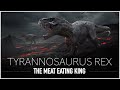 Tyrannosaurus rex the scariest  most feared dinosaur to walk the earth  dinosaur documentary