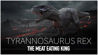 Tyrannosaurus Rex: The Scariest & Most Feared Dinosaur to Walk The Earth | Dinosaur Documentary by Dinosaur Discovery  498,240 views 6 months ago 36 minutes