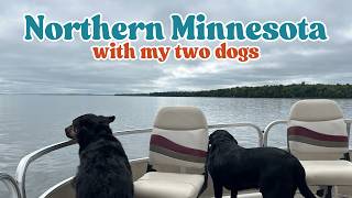 A Week In a Cabin in Northern Minnesota with my two dogs