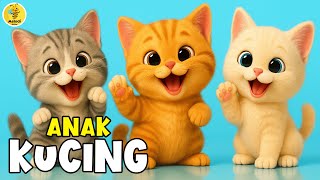 Lagu Anak Anak - ANAK KUCING MEONG MEONG - Lagu Anak & Balita Terbaru Paling Viral Terpopuler