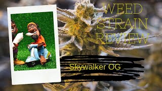 Weed Strain Review - SkyWalker OG