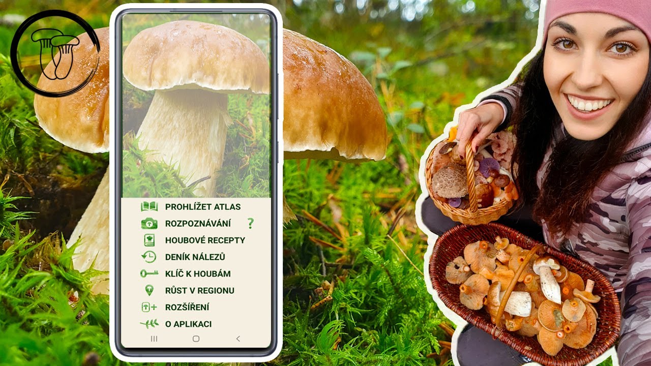 Zahodit ATLAS hub aneb Jak funguje APLIKACE Na Houby? Rosolozub huspenitý, Třepenitka svazčitá