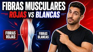 Fibras Musculares ROJAS vs BLANCAS: Cuál Entrenar para Ganar Músculo y Fuerza
