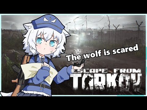 【Tarkov/PVE】のんびりkappa目指してます【VTuber】