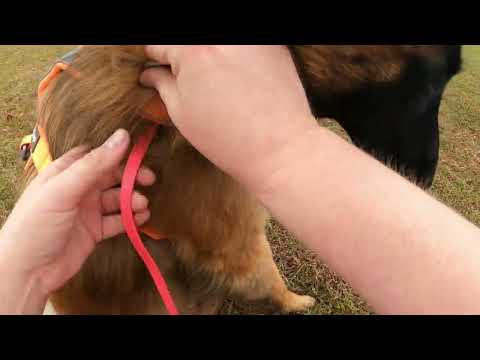 Week 50 - Practice 1