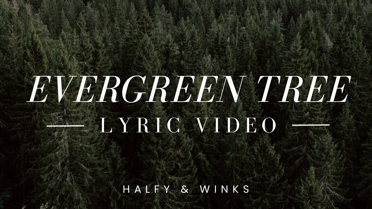 Evergreen Tree Official Lyric Video Halfy & Winks YouTube