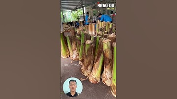 Trồng dừa lấy củ hủ ở Bến Tre #shorts