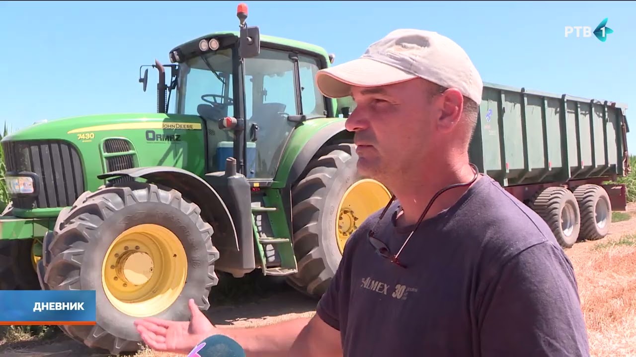 Suša nanela štetu usevima kukuruza i soje (AUDIO)