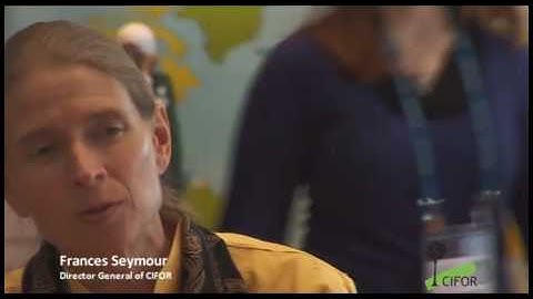 Climate Change - Reducing Emissions from Deforestation and Forest Degradation (REDD)