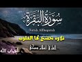 سورة البقرة بصوت القارئ اسلام صبحي بدون اعلانات Islam Sobhi Surah Albaqara سورة البقرة بصوت القارئ اسلام صبحي بدون اعلانات Islam Sobhi Surah Albaqara
