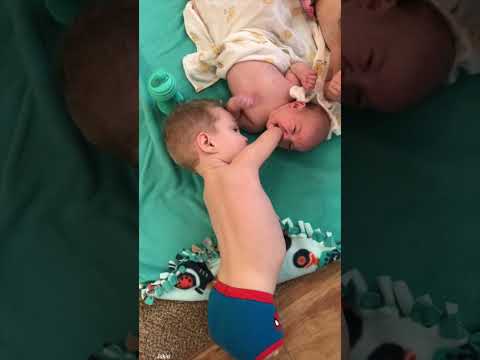 Little Boy Gives Baby Brother Pacifier