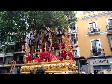 Real, Ilustre y Fervorosa Hermandad Sacramental de la Pura y Limpia Concepción de la Santísima Virgen María, Ánimas Benditas del Purgatorio y Cofradía de Nazarenos del Santísimo Cristo de la Salud, María Santísima del Refugio, Santa Cruz, Nuestra Señora del Patrocinio, Santa Bárbara y San Bernardo