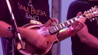Sam Bush Band "Little Girl Of Mine In Tennessee" 7/18/15 Grey Fox Bluegrass Festival chords