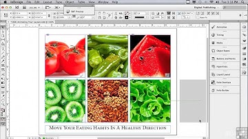 Indesign CS6   1606 Animating Layouts