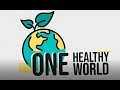 How Diet Can Change Your Life with Dr. Neal Barnard | One Healthy World