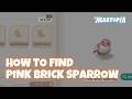 RARE PINK SPARROW?! - How to Find Pink Brick Sparrow in Heartopia Modular Street Festival Event