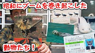エリマキトカゲにウーパールーパー！昭和にブームを巻き起こした動物たち