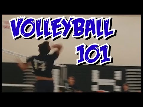 VOLLEYBALL 101 |