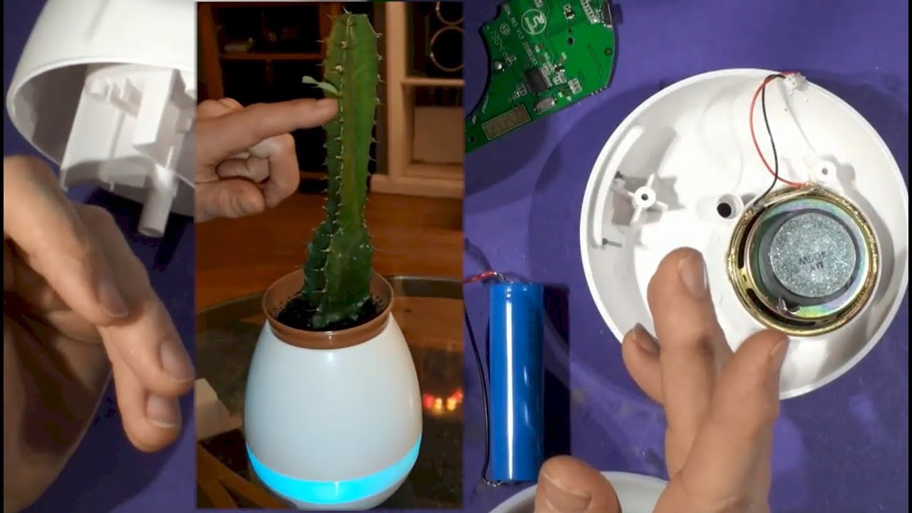 Tune played on prick the cactus in Musical Plant Pot Light then Review & Teardown